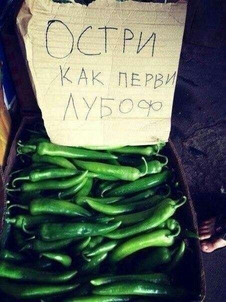 a904deb2e05abaf52fe3c7e0d2076d72