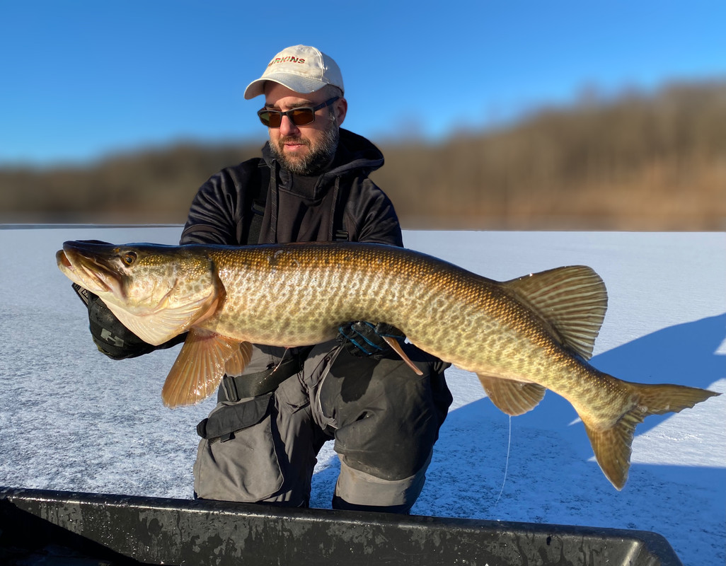 E8FC83B3-3E78-4760-9ECD-9691FCC39534