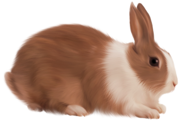 TADD_elements_ShimmerFall (81)