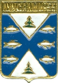 ЛУУСАЛМИ-55