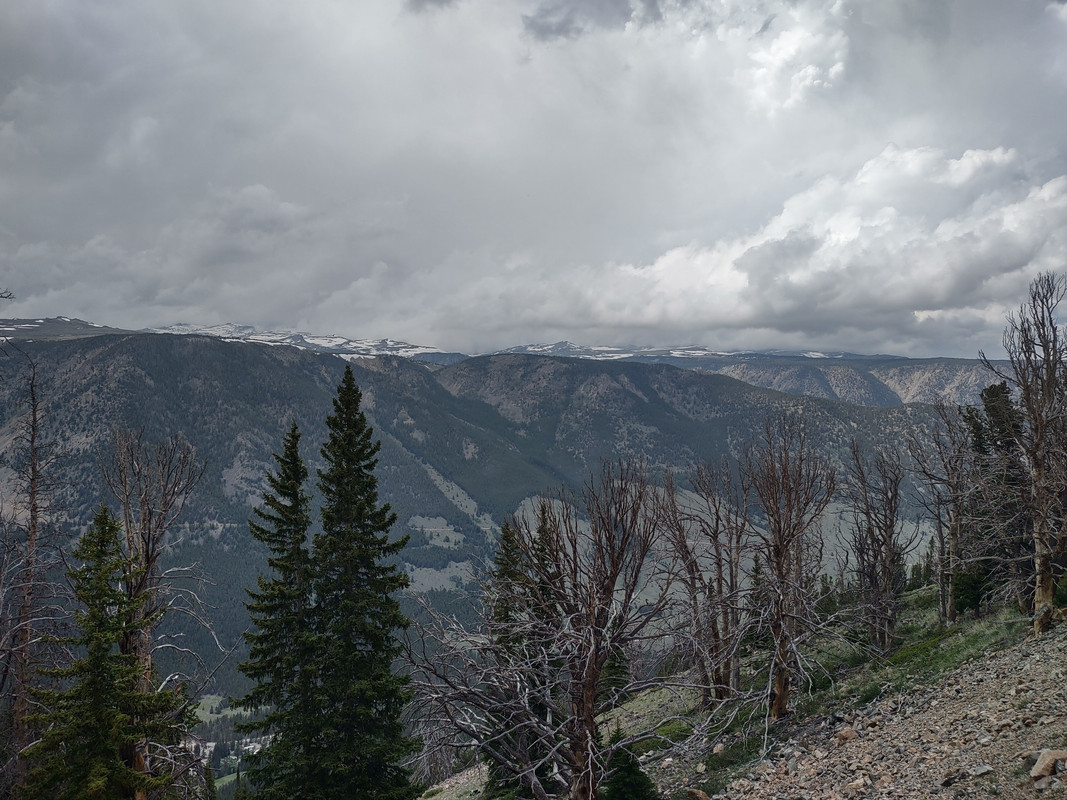 IMG_20250615_153241616_HDR