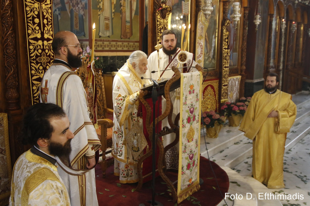 _7D20676 (Αντιγραφή)