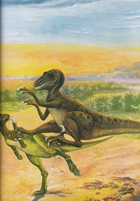 b3c9e50fdc33edd4ee0ca399cd4333a9