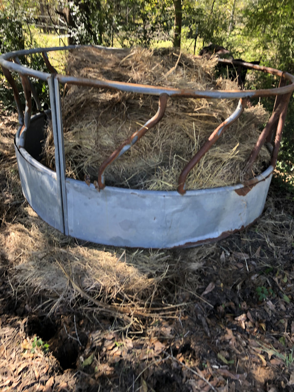 D56CE94A-E28E-4021-8047-7DC6B7843020