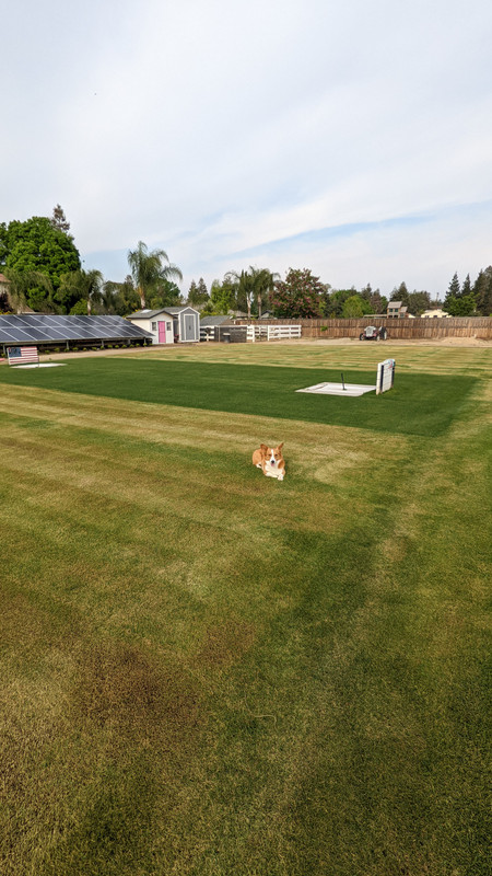 PXL_20220330_235716517