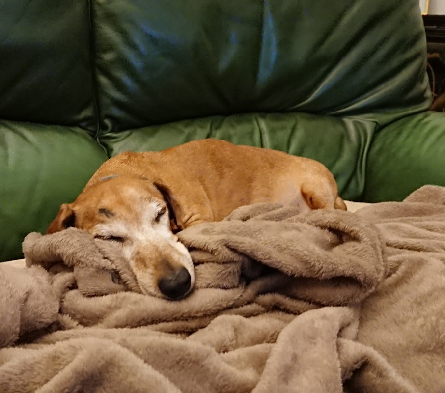 [Image: 20230302-211822.jpg]