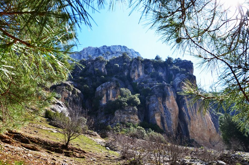 RUTA RIO BOROSA-12-3-2016-JAEN - Paseando por España-1991/2016 (87)