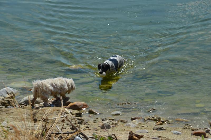 EXTREMADURA Y SUS PUEBLOS -2010-2023 - Blogs of Spain - EMBALSE DE VALDECAÑAS-2019/2023 (9)