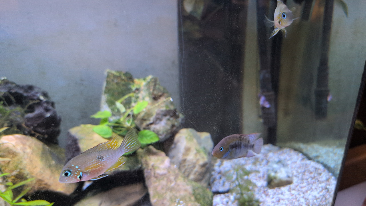 2025 11 1018 53 324460950829985536433