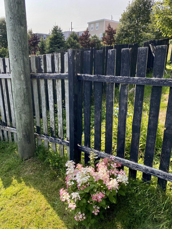 372371484_263723613167709_2478617795323260724_n