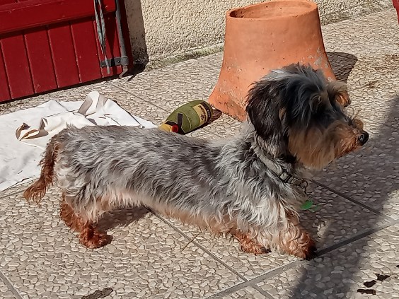 [Image: IMG-20250320-080146.jpg]