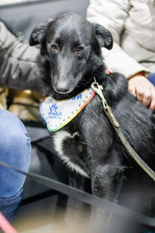 OCGF8SQuXWdCw1eE6UilzNin8cDZFG0cp4CCvycxxszmftQyy6GHXk-utjO-41xt5v0ZqN-k8_NN8-HBCyHeDg==?uid=0&filen