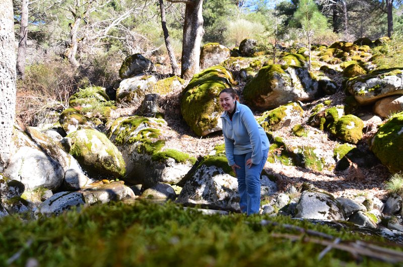 RUTA EMBALSE DEL HORCAJO Y GARGANTAS DEL VALLE DEL TIETAR-20-2-2016-AVILA - Paseando por España-1991/2016 (26)