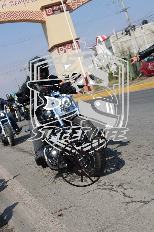 IMG 1846