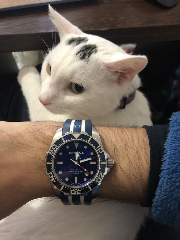 36D82D25-AFBC-4F9D-8314-A4F4742BC1DF