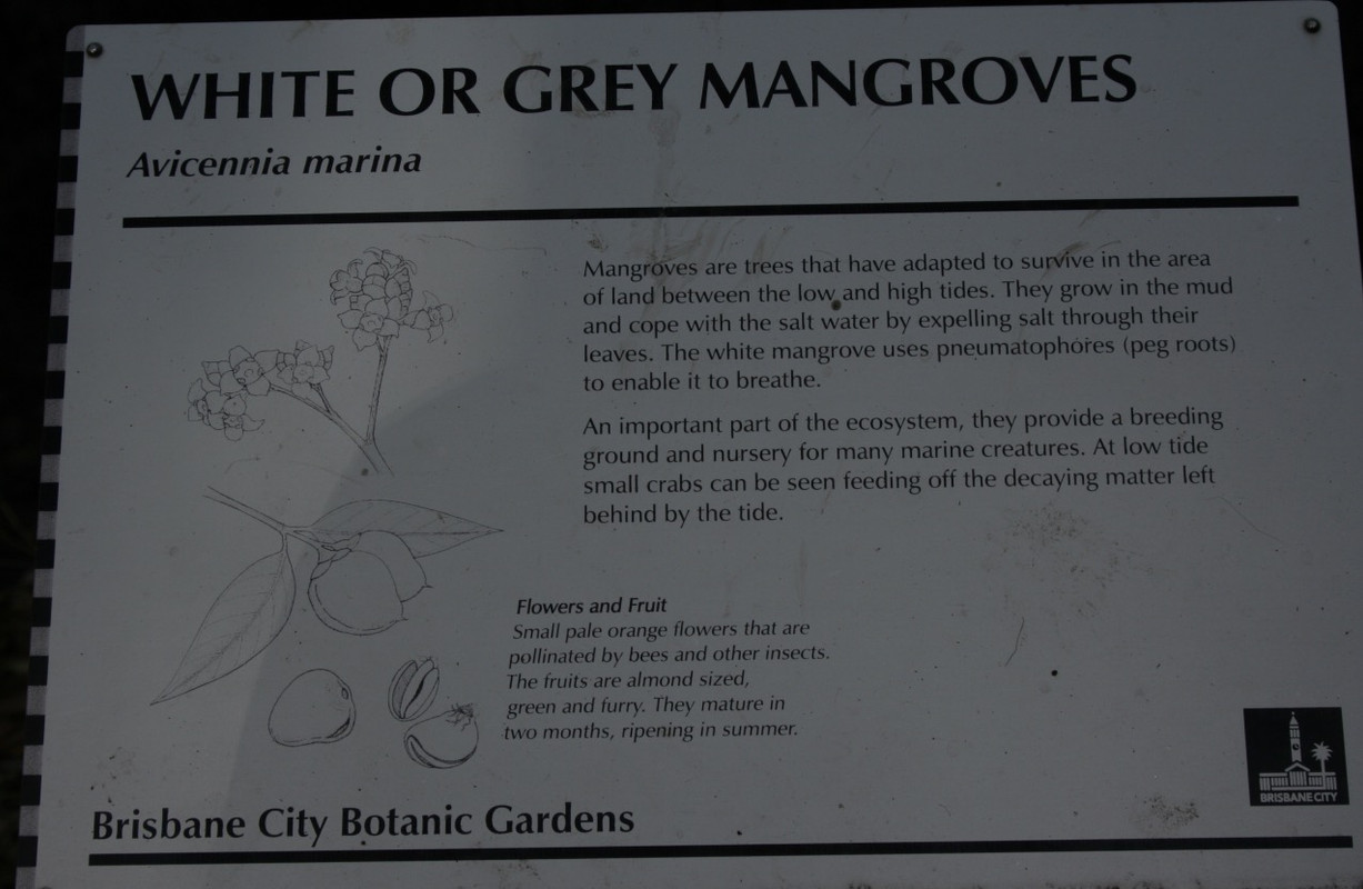 Screenshot 2020-10-14_20-58-31-080