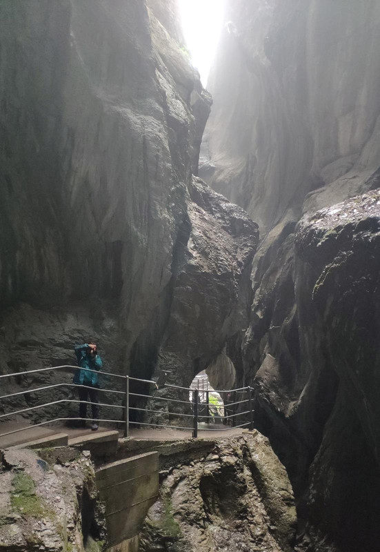 De casa a Grindelwald (Zona de Interlaken) - Huyendo del COVID a los Alpes (2020) (74)