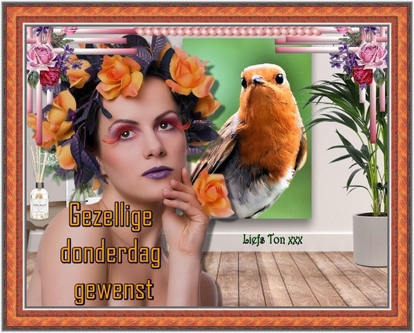 www.krabbelplaatjes.com