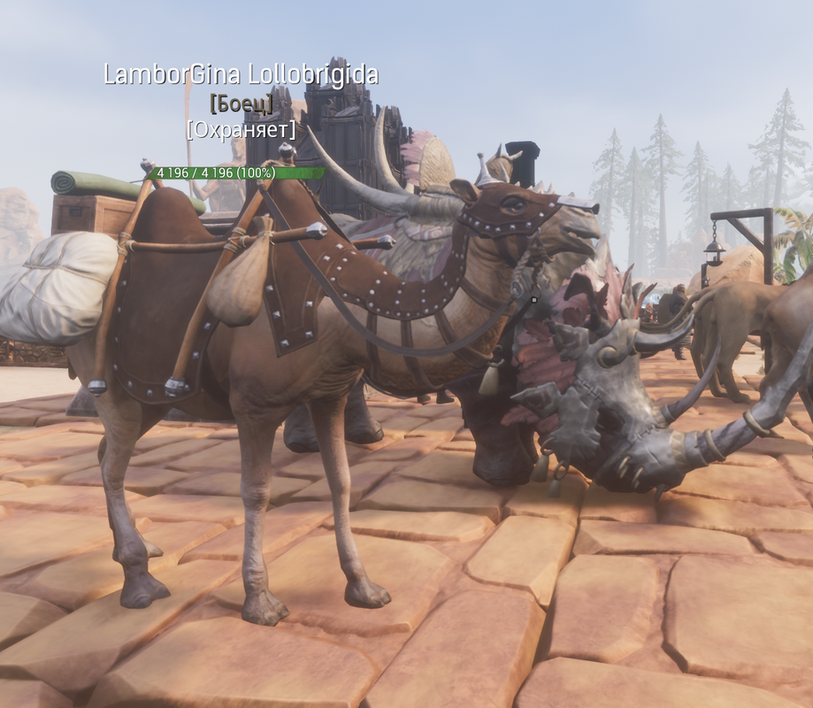 440900_20240316210130_1