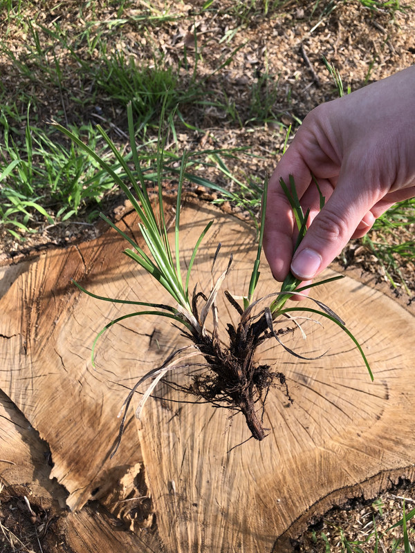 47AECCEC-DE13-4563-B39B-E527241D67A3