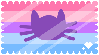 catgender