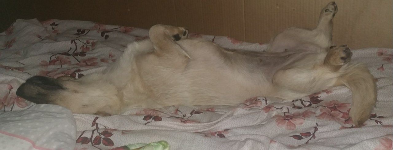 36F103AB-2BC4-4593-BB15-0DFFD6D7F05A