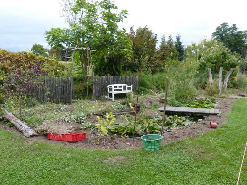 2014-08-30 Präriebeet