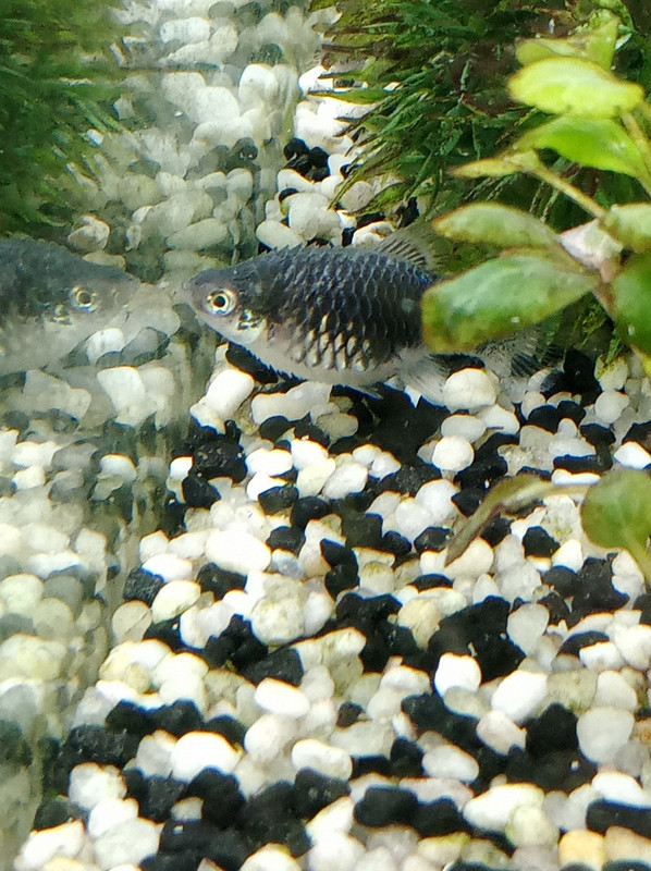 IMG_20240502_081153_269