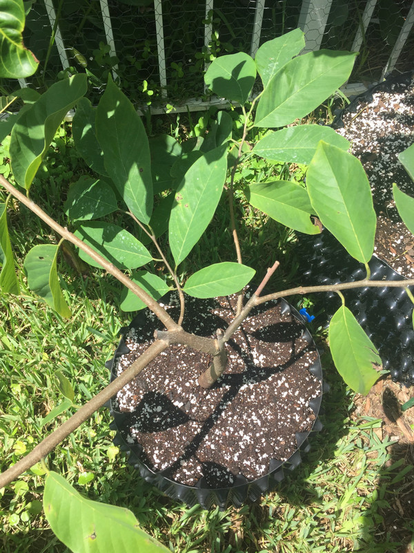 62F30AED-092C-401B-B515-408E0214855C