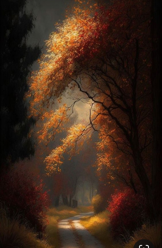 Screenshot_20231222_174737_Pinterest