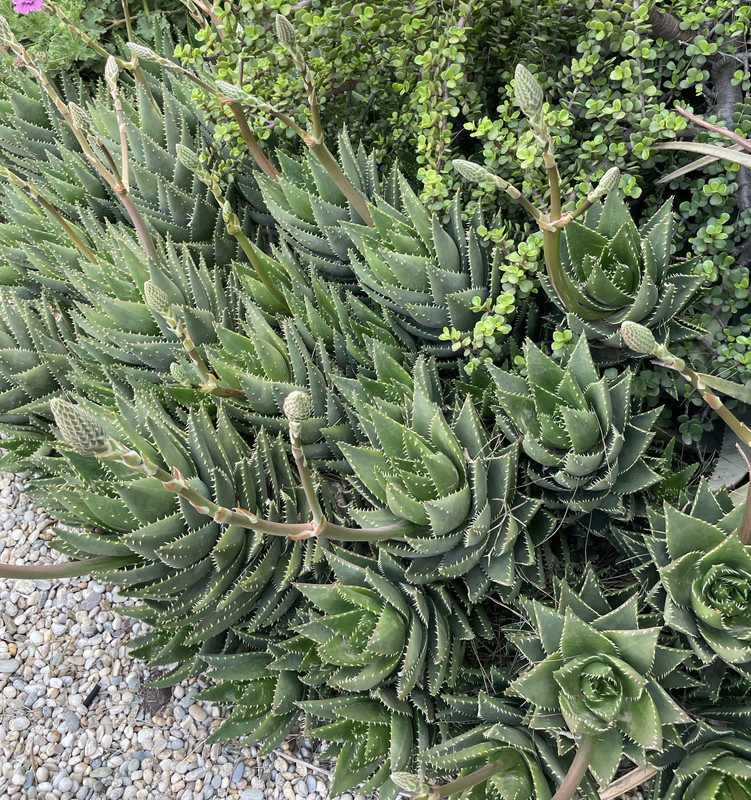 CFF0035C-E112-46B3-BA3C-AEE4CD8ABAA7