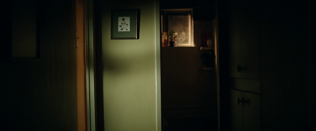 vlcsnap-2025-01-12-16h22m44s651