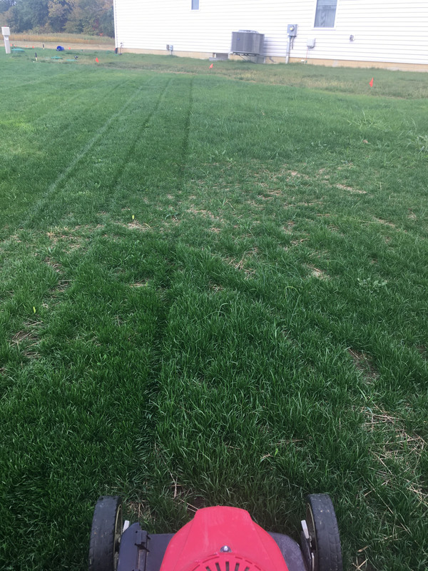 30BE8654-BC63-41D4-83A4-D52BBB8CAD07