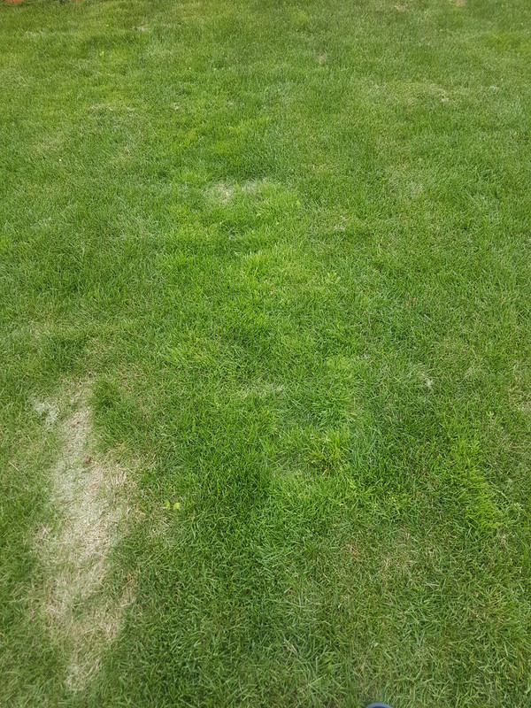 20190730_184431