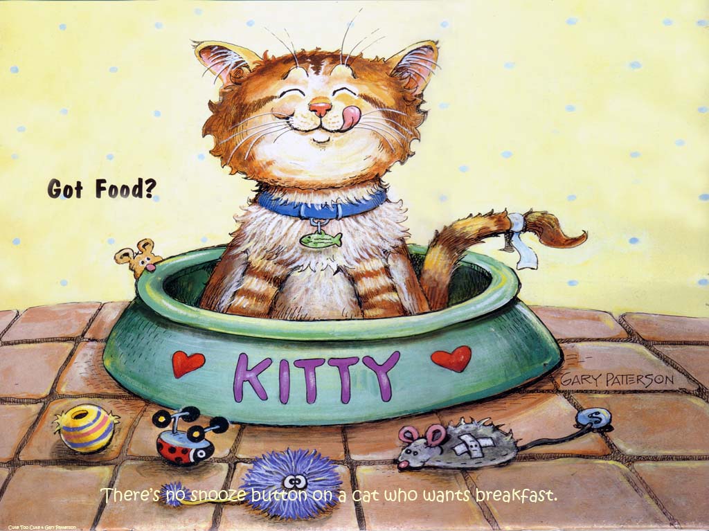 14-Got-Food-1024x768