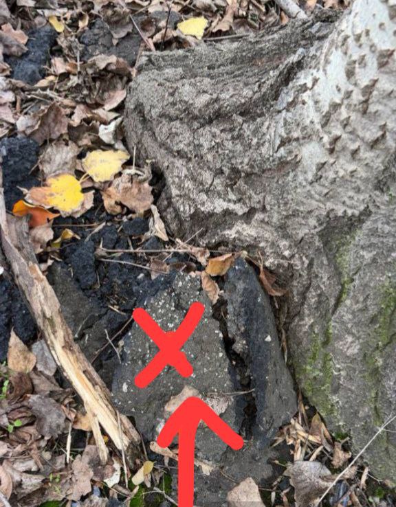 IMG 20251105 182312 824