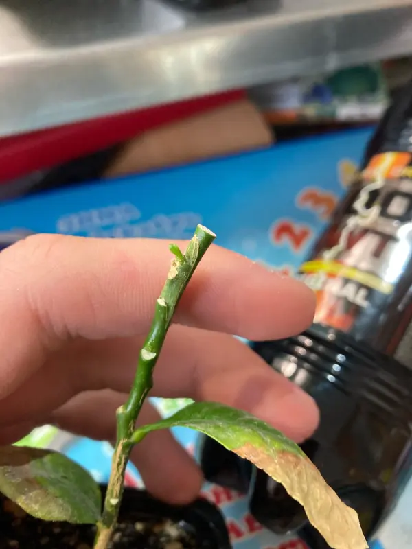 n63QBMcpwF_YAMlZQT9Vy07GCD06ihaM1zzKSUV8bo4xRciP8rRrSCJnDKY3D-DhuqkRQMxRFjBw0EhNlEP-54xN