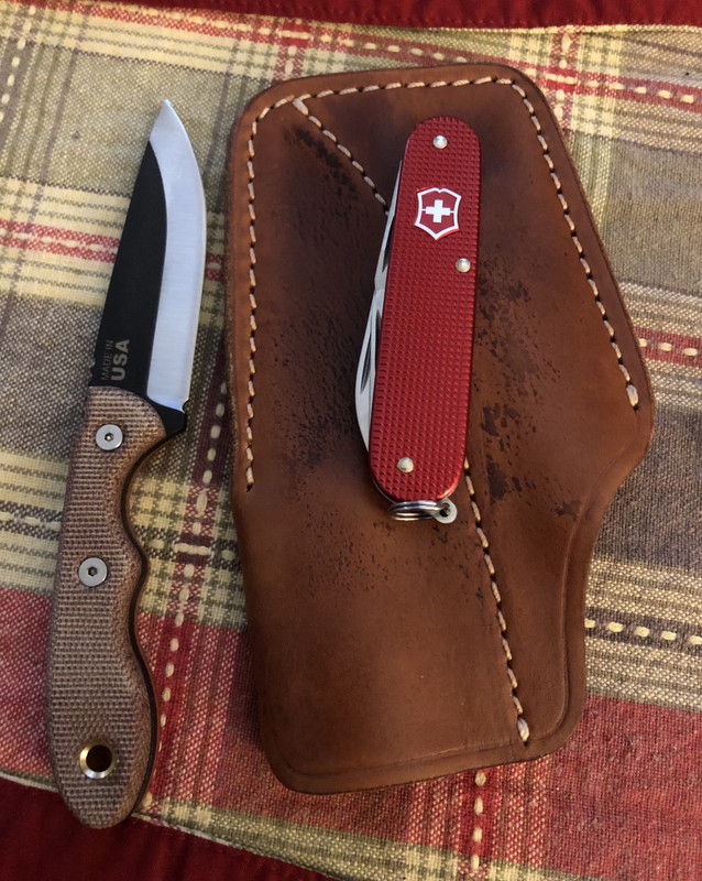 DCF7E3CF-DD38-4FD2-A0F5-CF005D35E79F