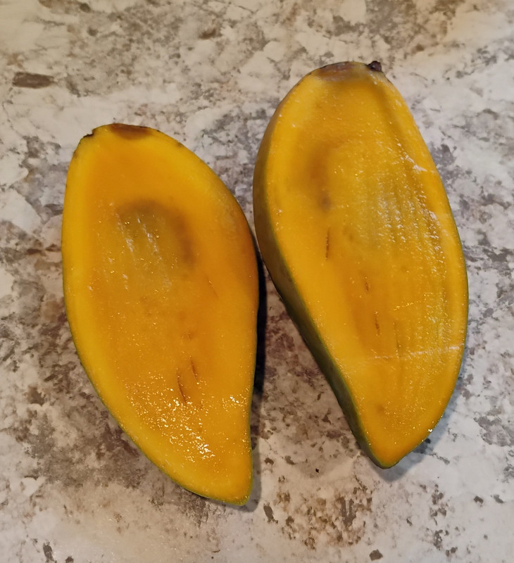IMG 20260710 082501982 2