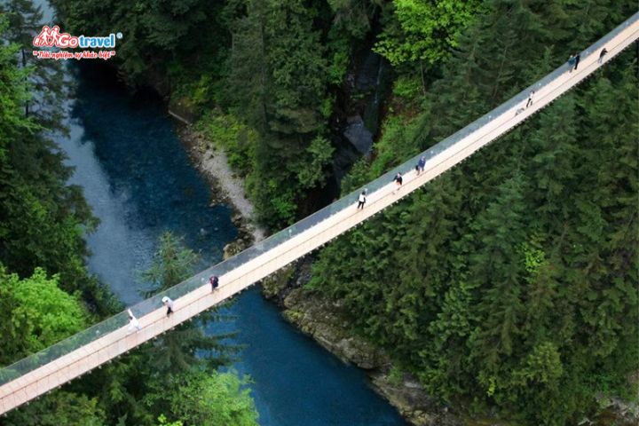 Du lịch cầu treo Capilano