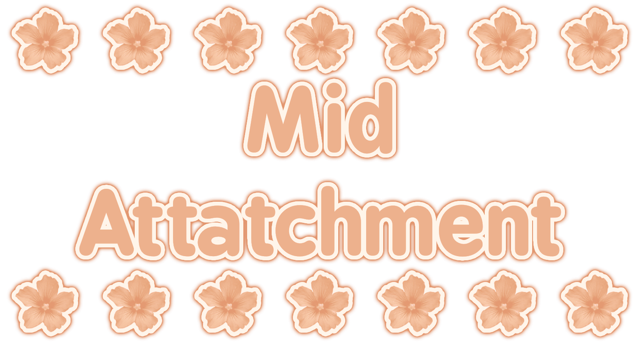 mid attatchment mid attatchment