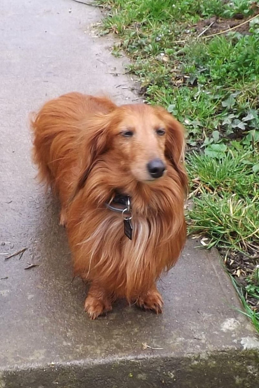 [Image: DSCF1999.jpg]