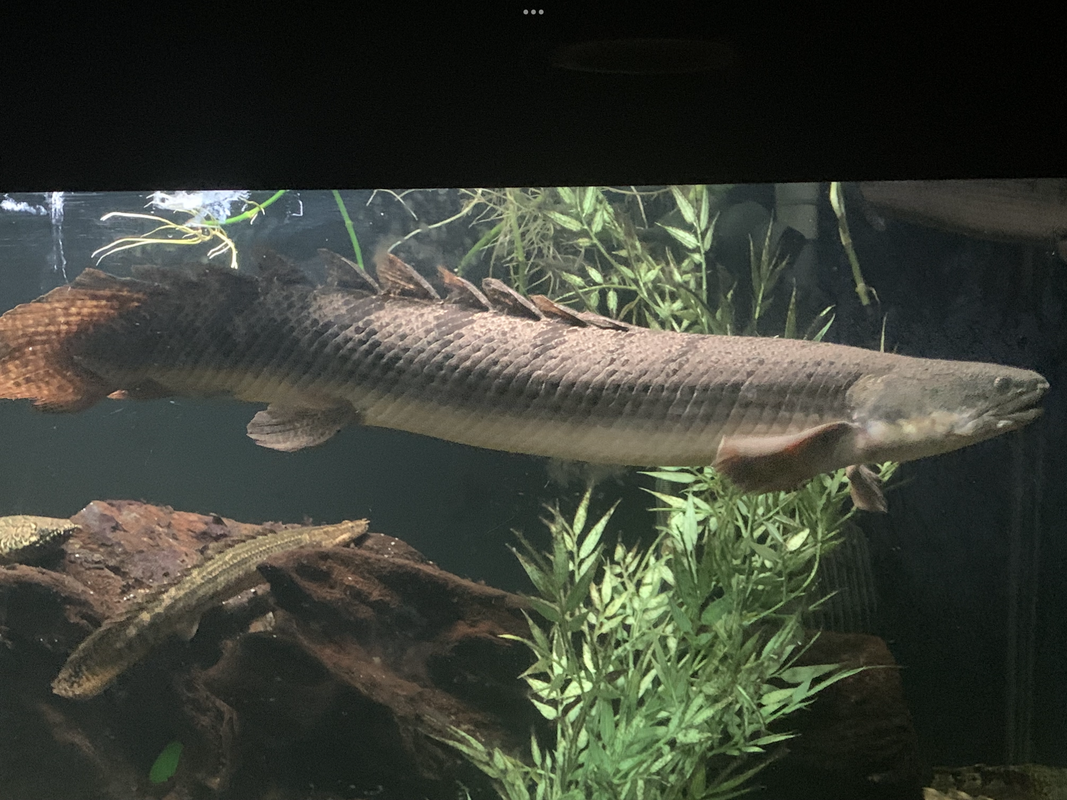 45871BC9-AF4F-43B8-B951-CD9B31325809