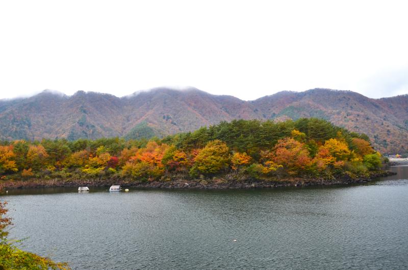 Lago Shōji-16-11-2024 - Japón y sus Pueblos-2024 (10)