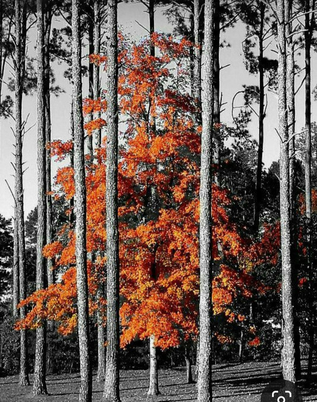 Screenshot_20230420_010003_Pinterest