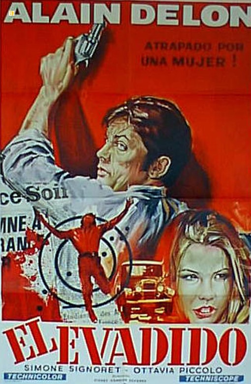 P.G.D.- Le Veuve Couderc