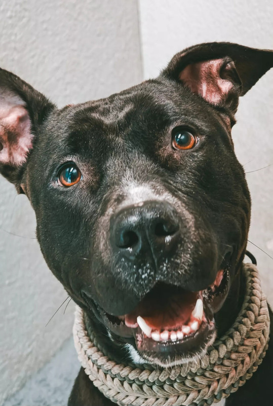 Screenshot 20260314 173347 Facebook