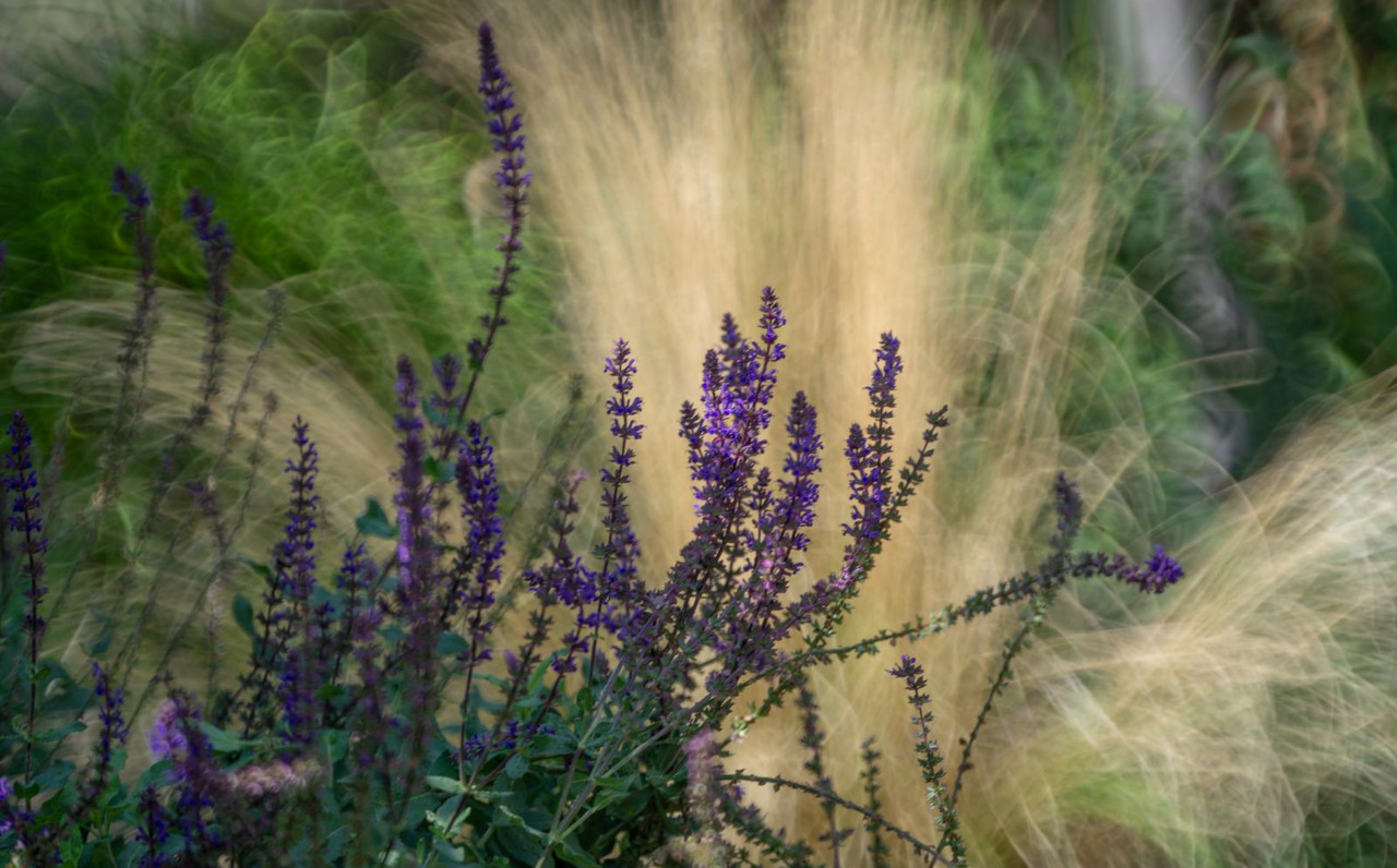 IMG-856329c377dfa9b63e2ba791ce9ff130-V