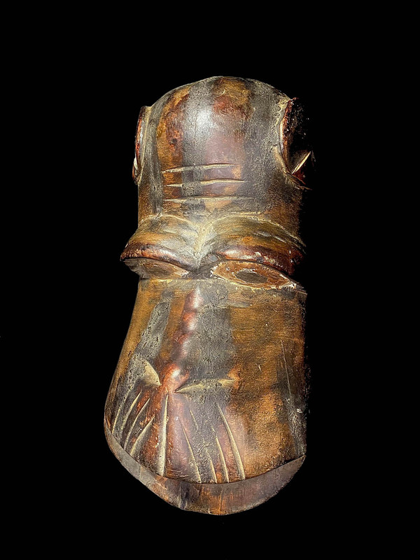 large image 7