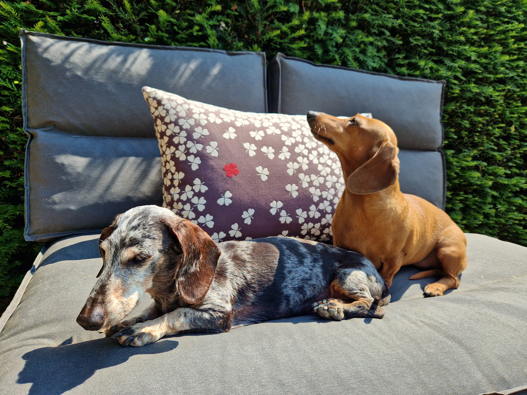 [Image: 20230529-113613.jpg]